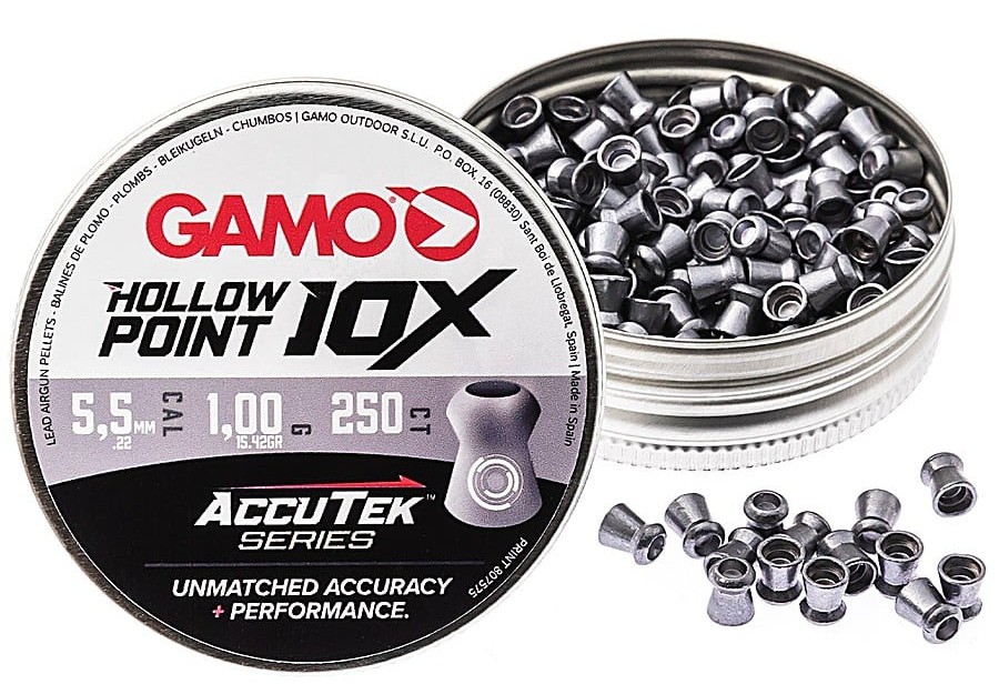 Hollow Point AccuTek 5.5